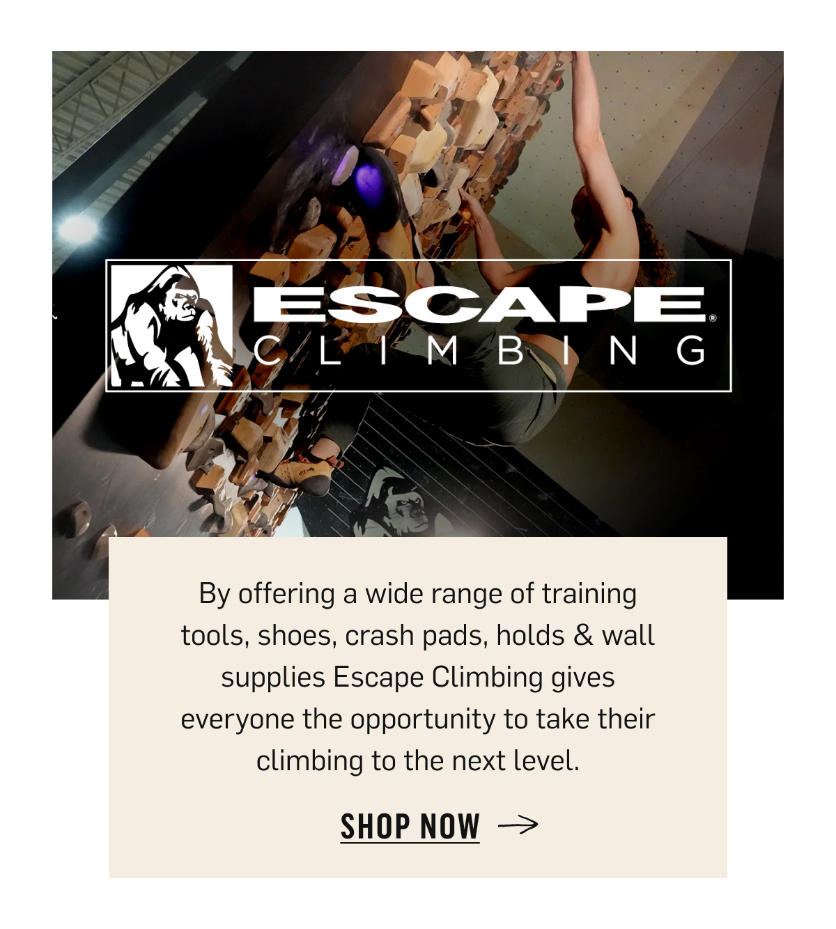 Escape Climbing: training tools, shoes, crash pads, holds & wall supplies to take your climbing further. Shop Now!