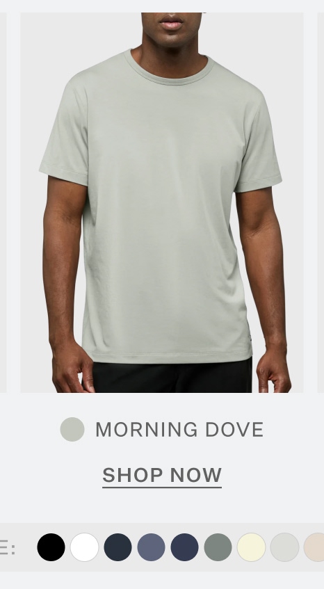 AO Forever Tee in Morning Dove