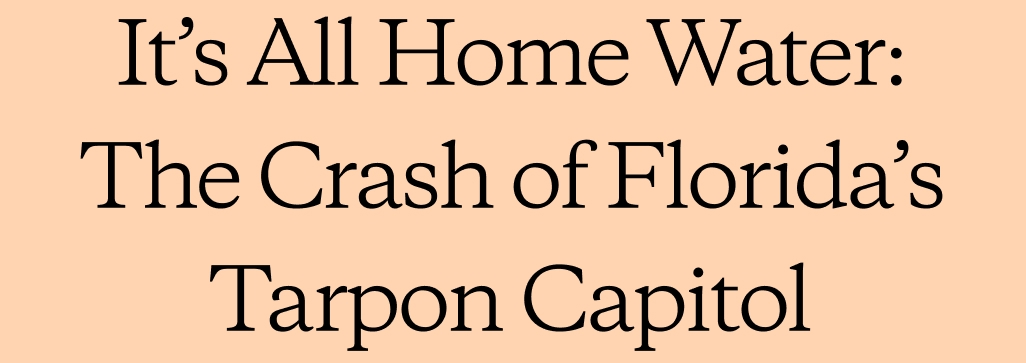 It&rsquo;s All Home Water: The Crash of Florida&rsquo;s Tarpon Capitol