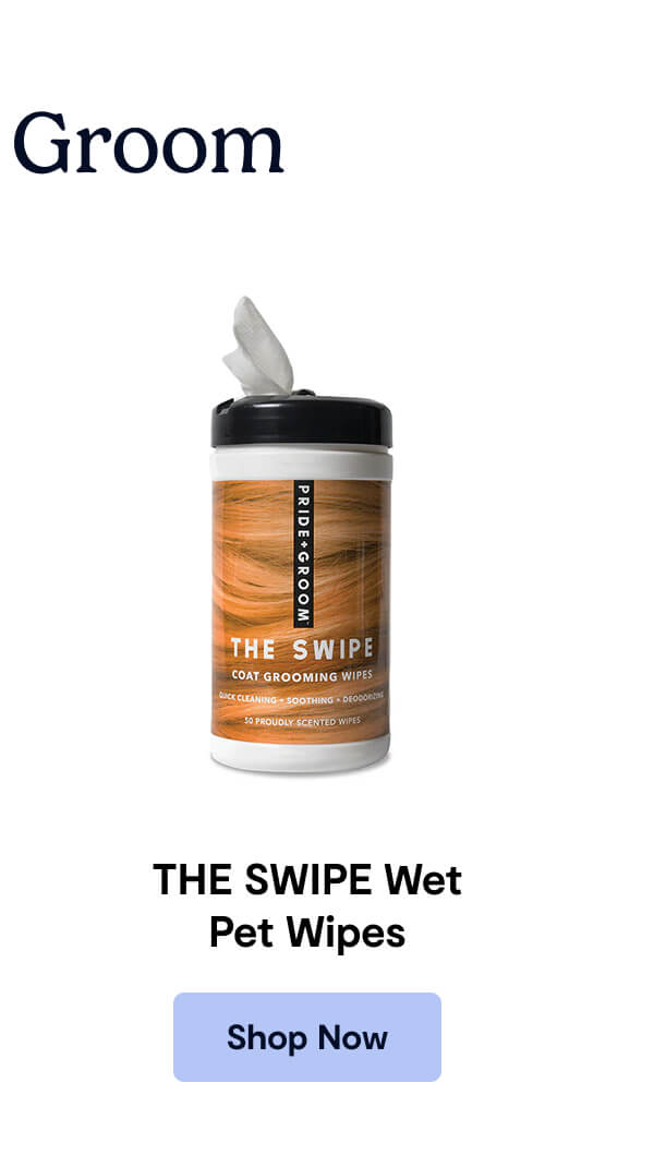 Pride + Groom - THE SWIPE Wet Pet Wipes