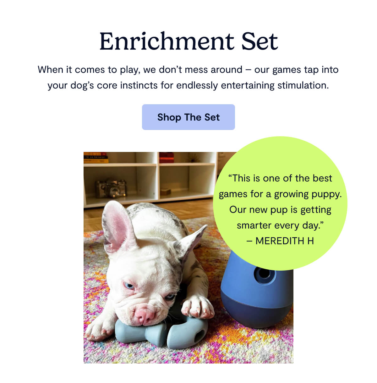 Enrichment Set; When it comes to play, we don't mess around &mdash; our games tap into your dog's core instincts for endlessly entertaining stimulation.