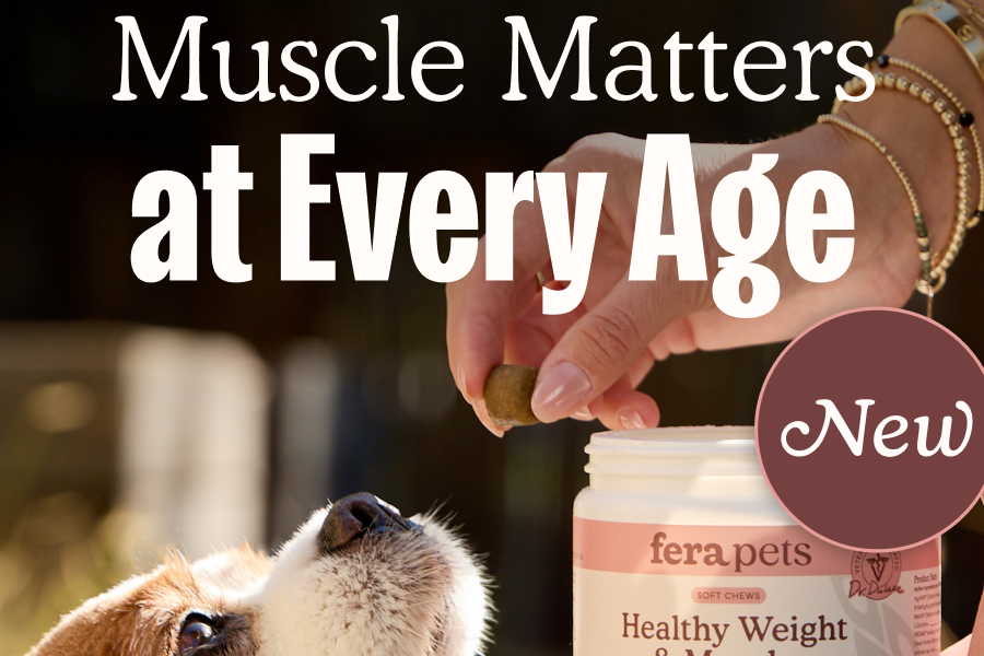Muscle Matters at Every Age