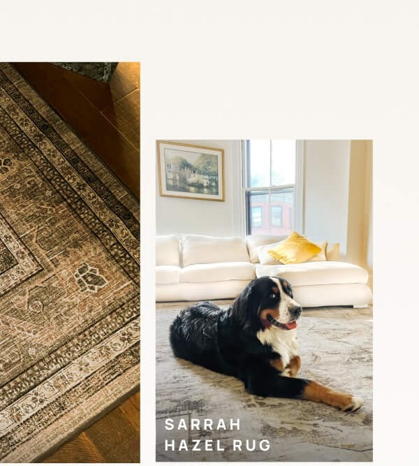 Sarrah Hazel Rug