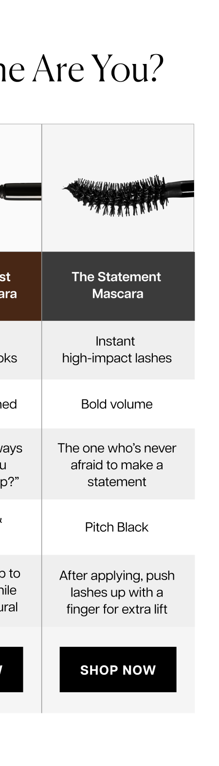 The Statement Mascara