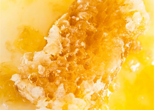 Close-up of golden honeycomb