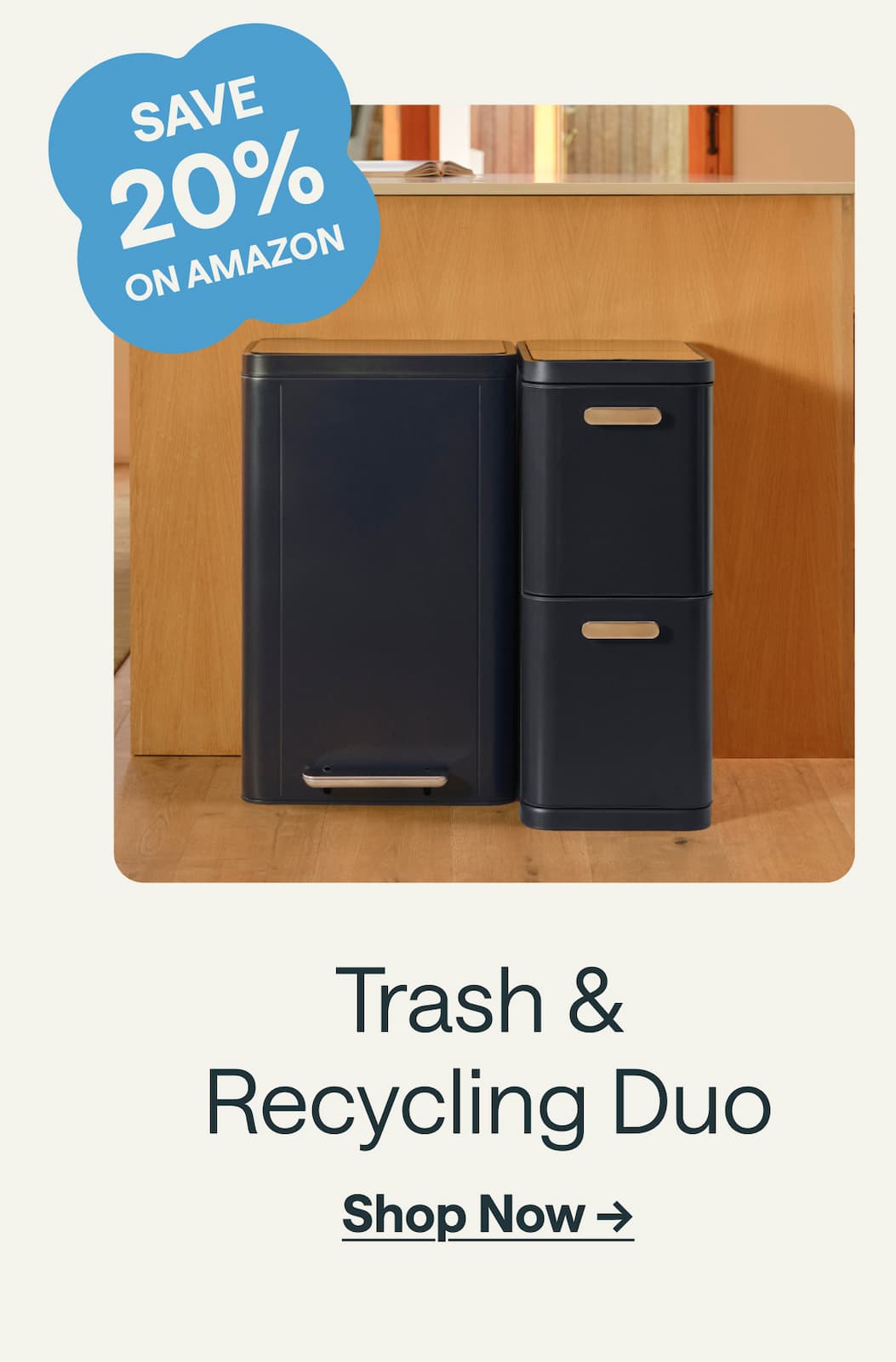 SAVE 20% ON AMAZON Trash &  Recycling Duo Shop Now &rarr;