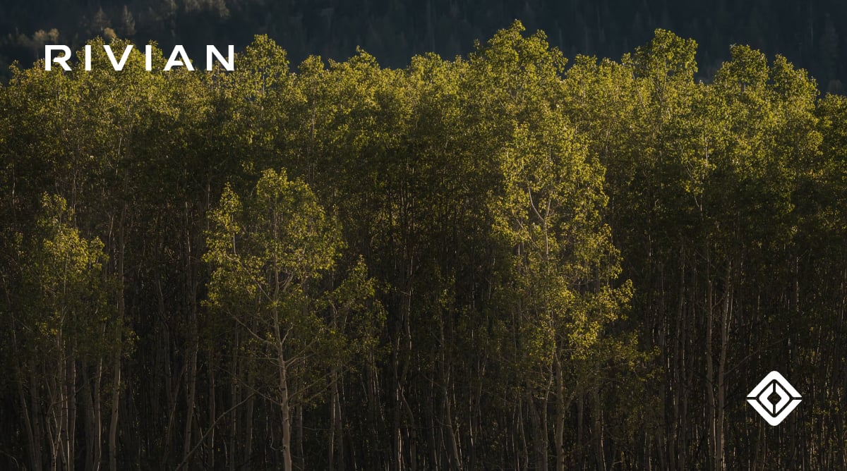 Rivian