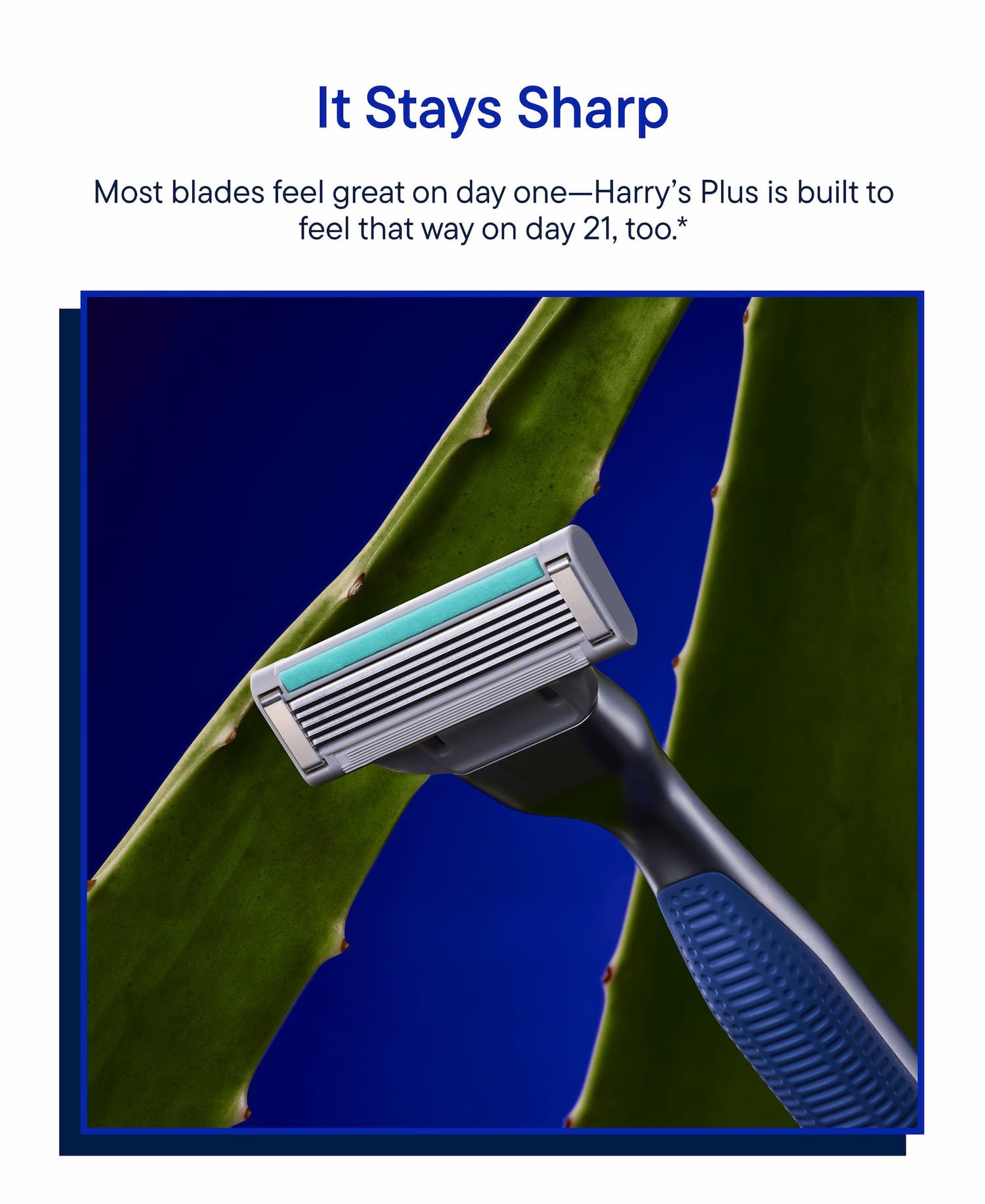 Most blades feel great on day one-Harry's Plus is built to feel that way on day 21, too.