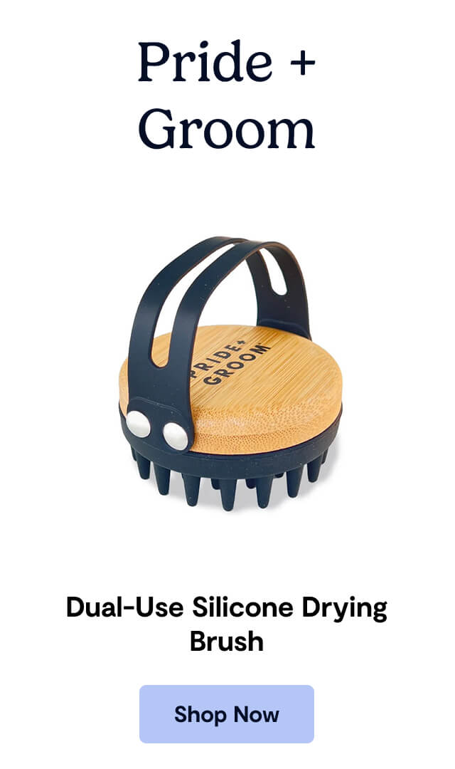 Pride + Groom - Dual-Use Silicone Drying Brush