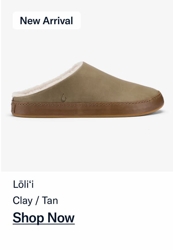 Clay / Tan