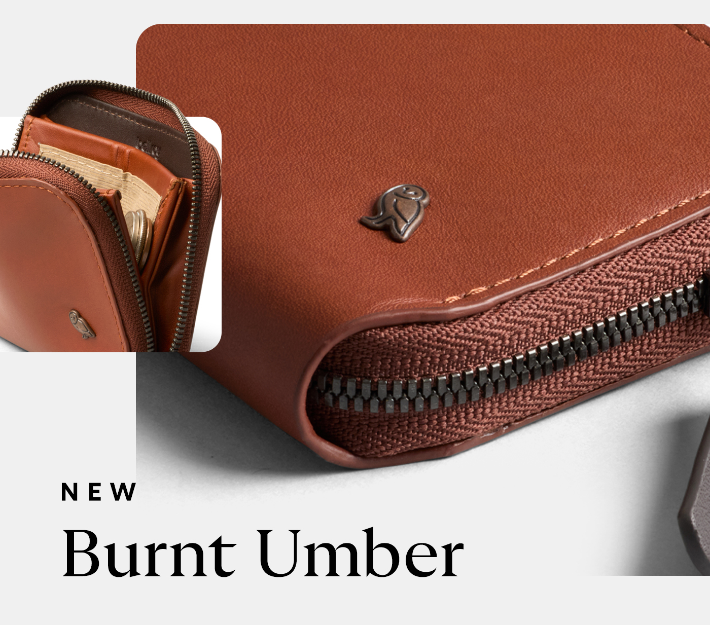 [Preheader]New [Header] Burnt Umber