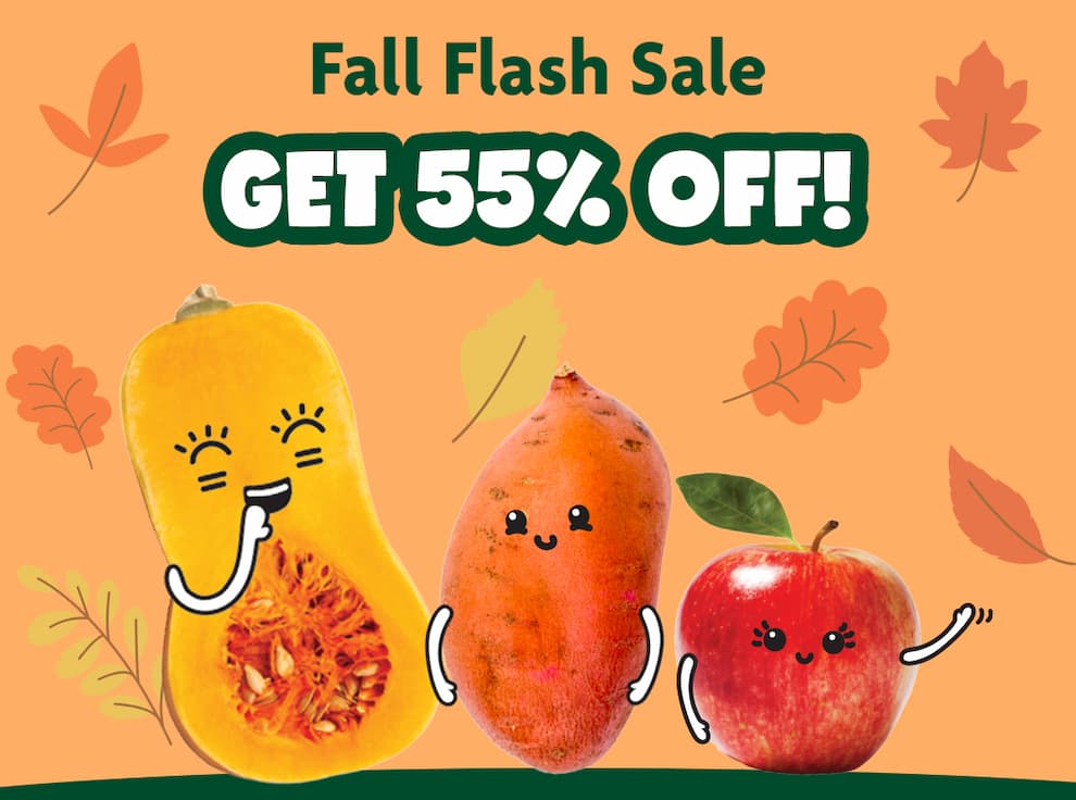 Fall Flash Sale get 55% off