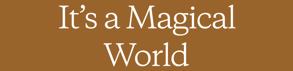 It&rsquo;s a Magical World