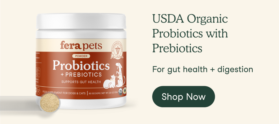 USDA Organic Probiotics with Prebiotics