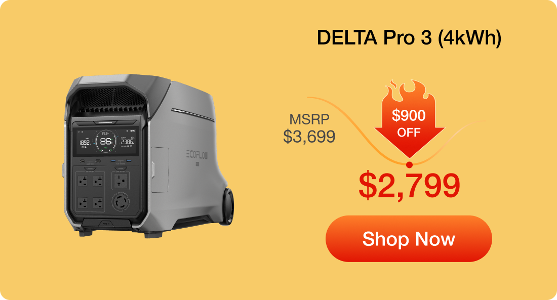 DELTA Pro 3