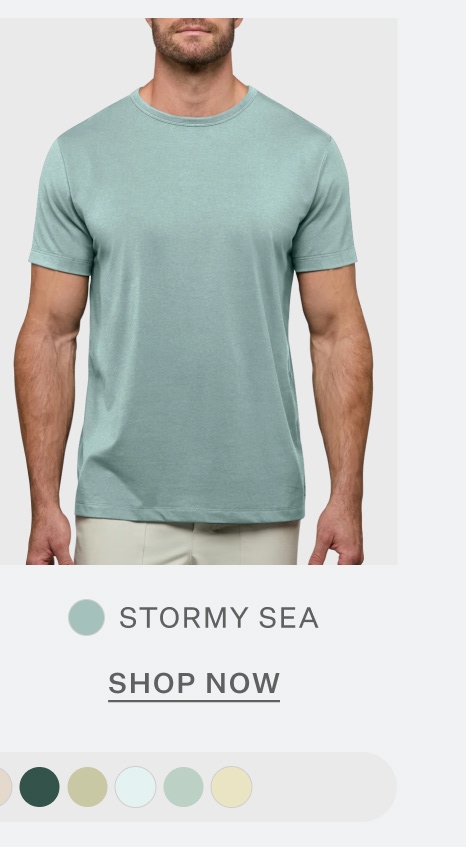 AO Forever Tee in Stormy Sea