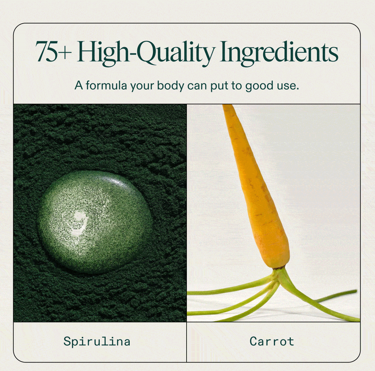75+ High Quality Ingredients