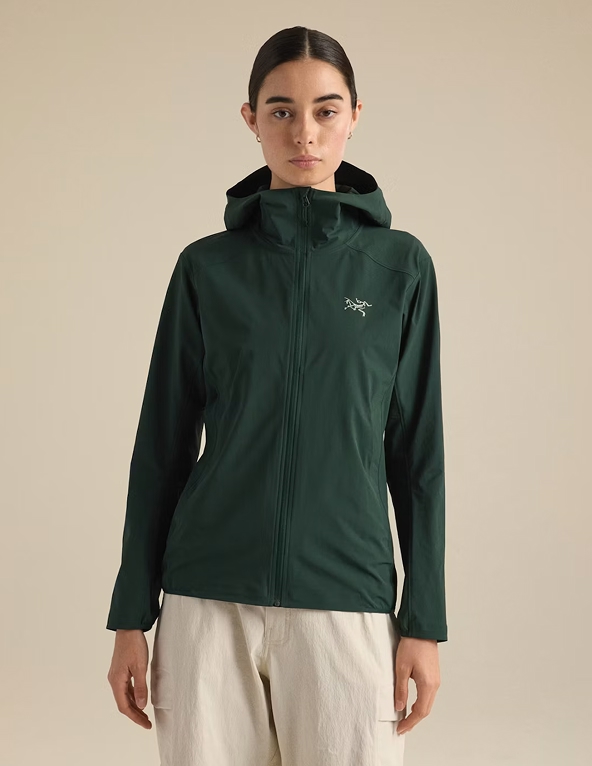 Gamma Lightweight Hoody