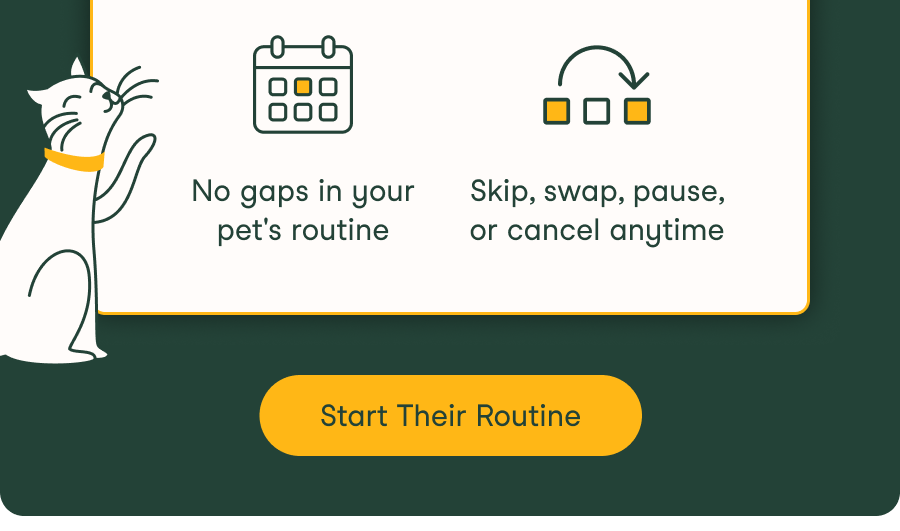 Start Their Routine