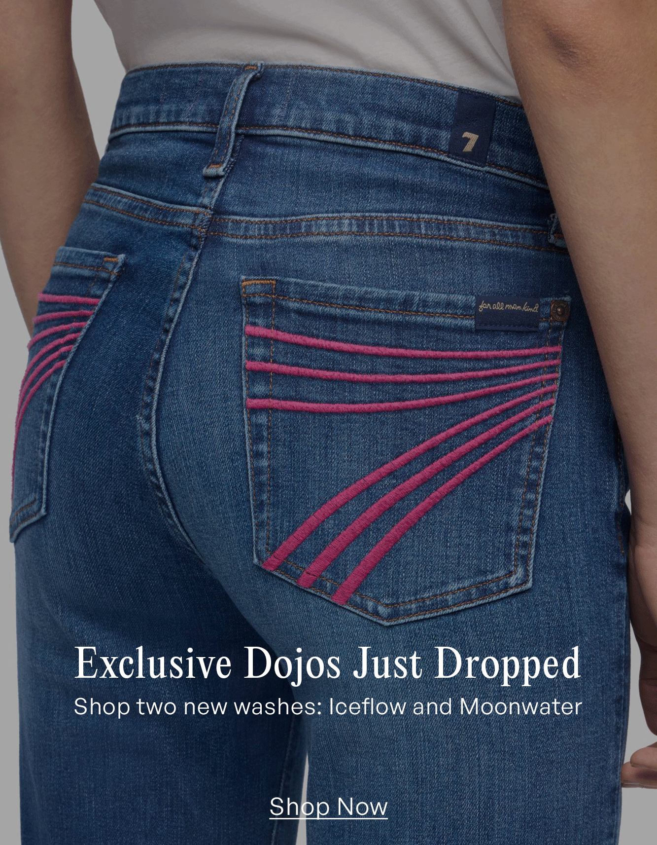 Shop Exclusive Dojos