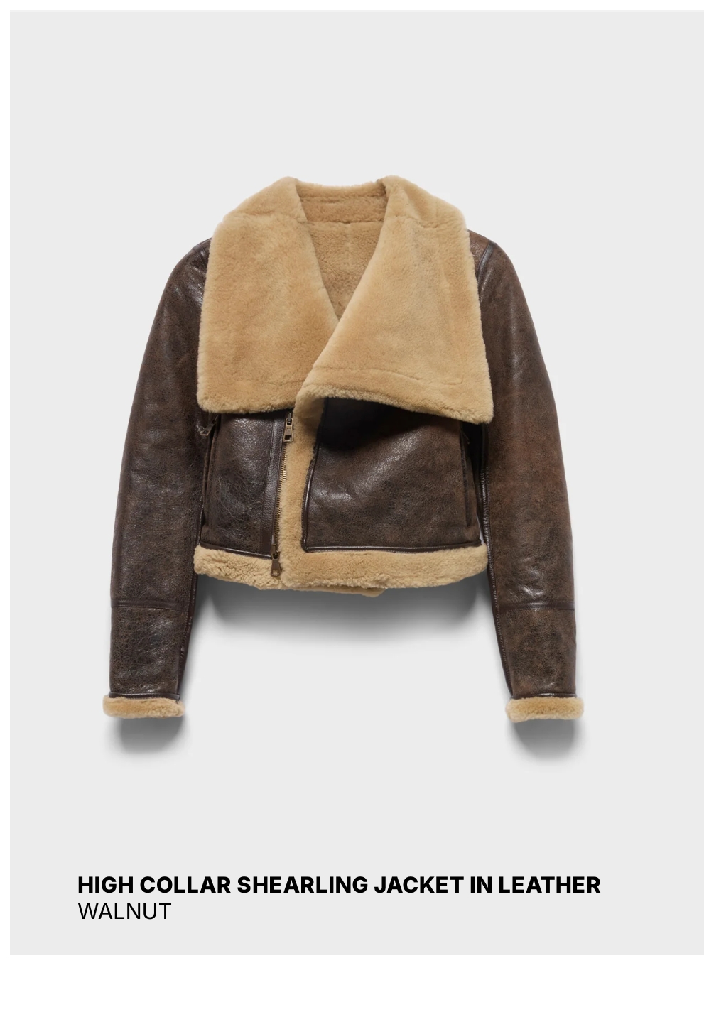 Shop Leather