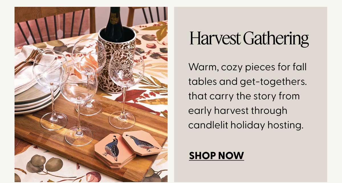 Harvest Gathering | Warm, cozy pieces for fall tables and get-togethers. that carry the story from early harvest through candlelit holiday hosting. | SHOP NOW
