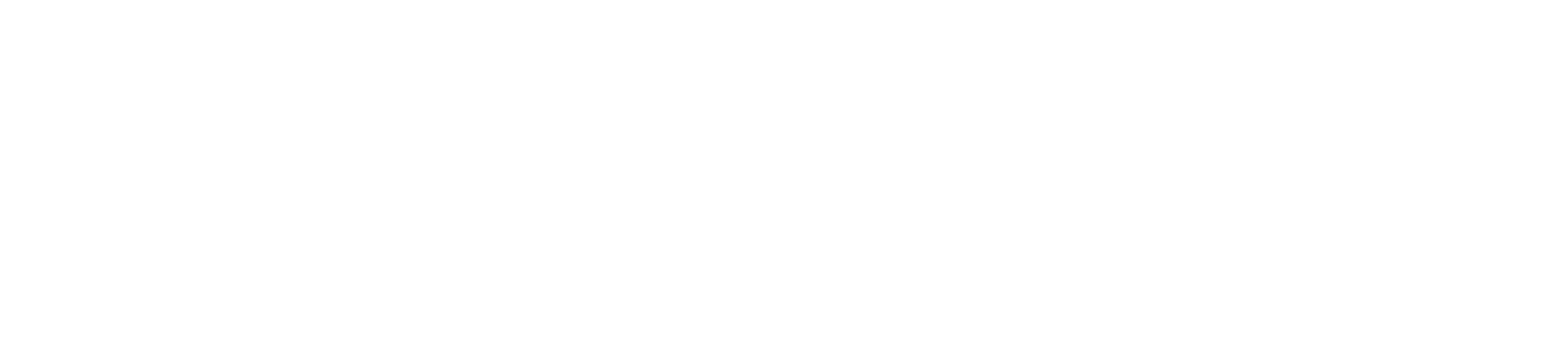 Polestar wordmark, Visit Polestar.com