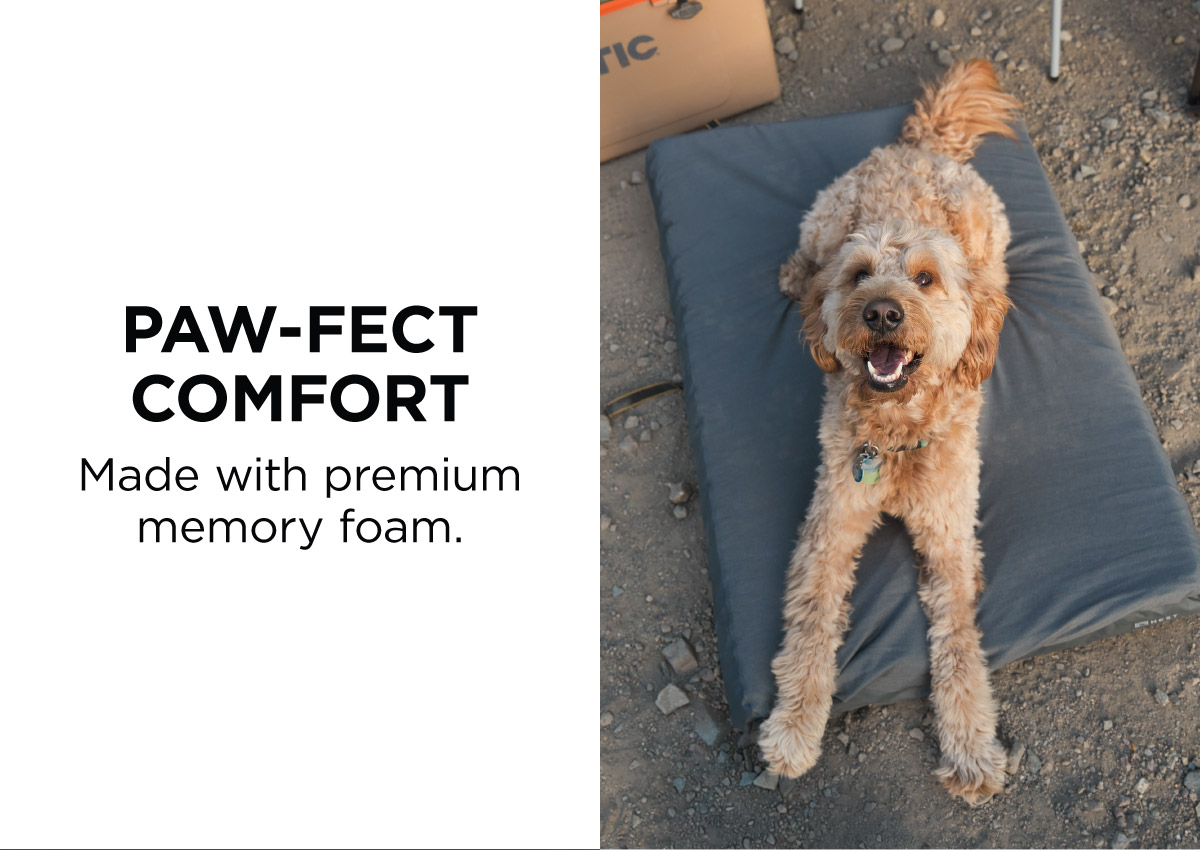 HEST x Rivian Dog Bed: Paw-fect Memory Foam Comfort