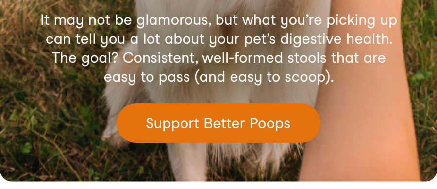Healthy Poops = Happy Pets