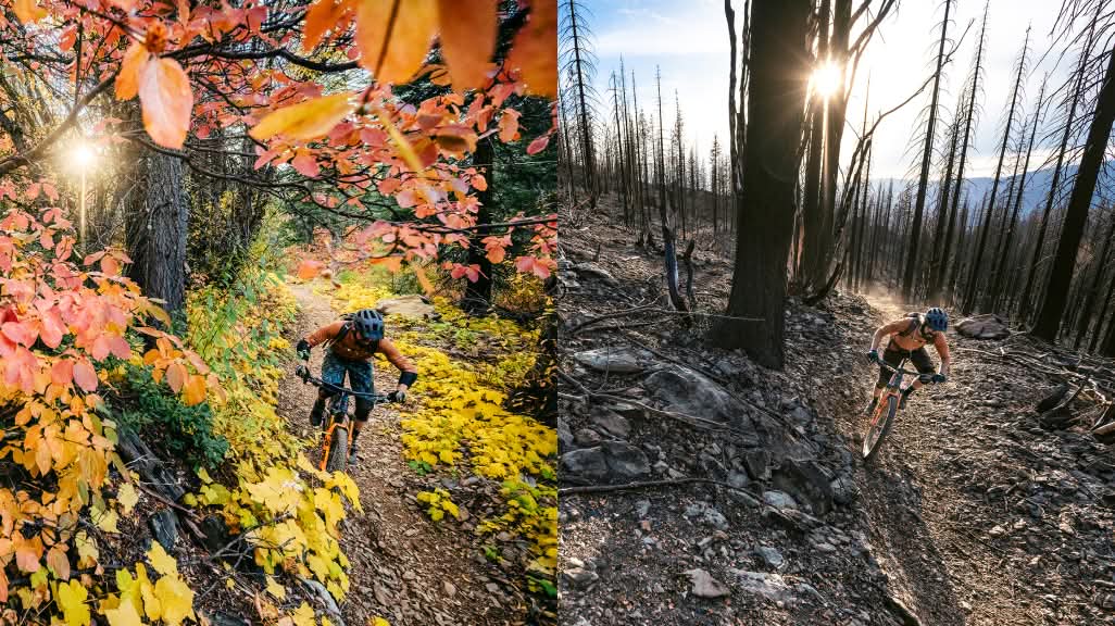 A diptych of the same mountain bike rider descending the same section of trail before and after a massive wildfire. The first photo is full of fall foliage. The second photo shows burnt trees and blackened soil.