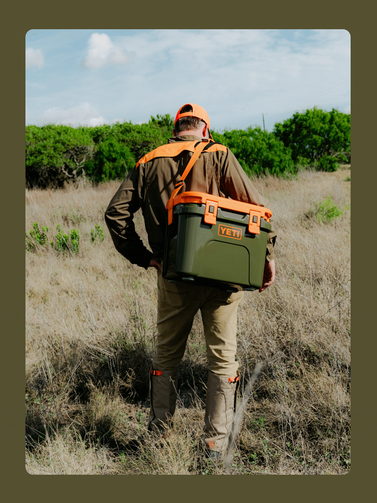 Early Access: Open Country And Upland Birds