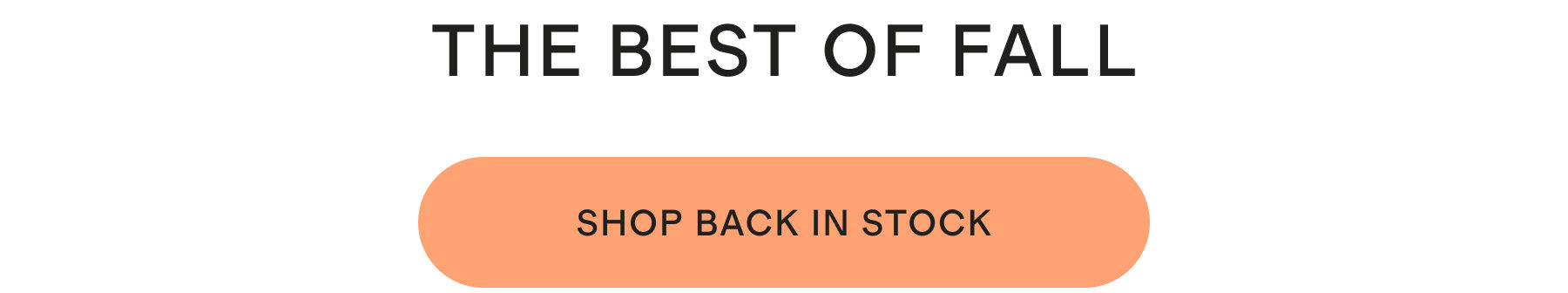 THE BEST OF FALL | SHOP BACK IN STOCK