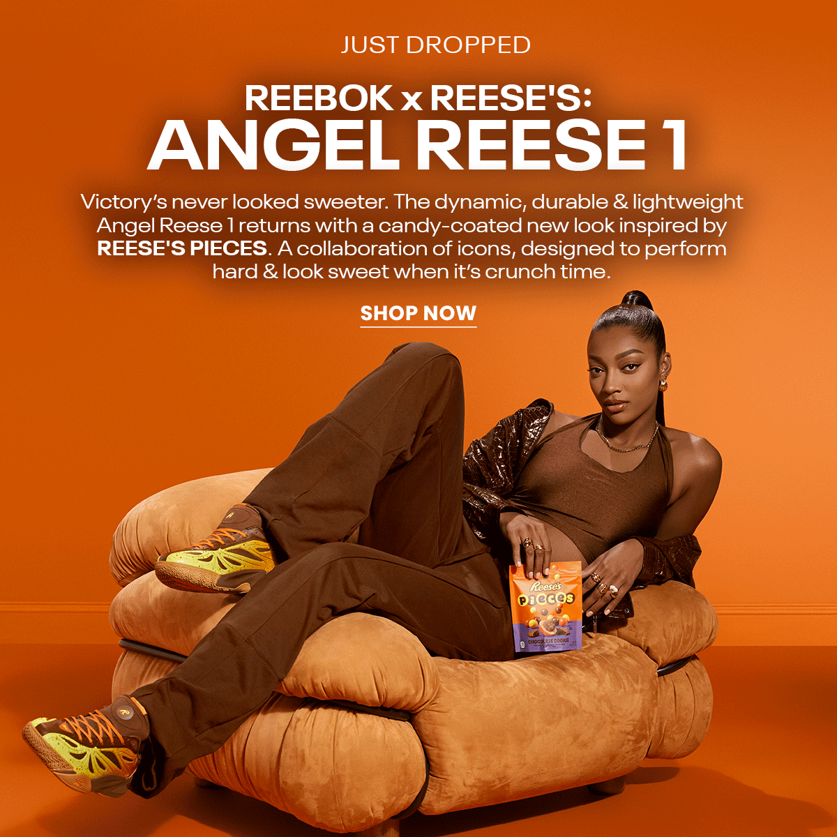 basketball-ar1-reeses