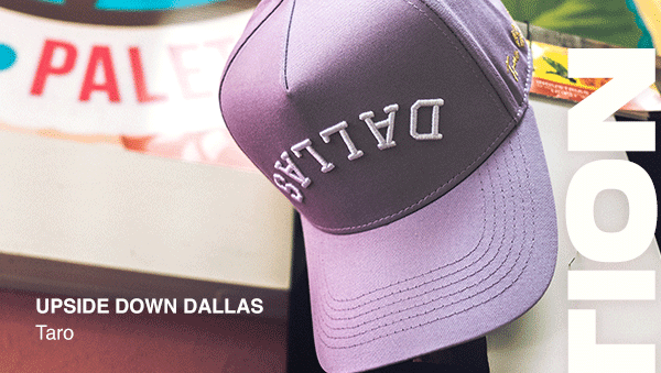 Upside Down Dallas Snapback - LAVENDER
