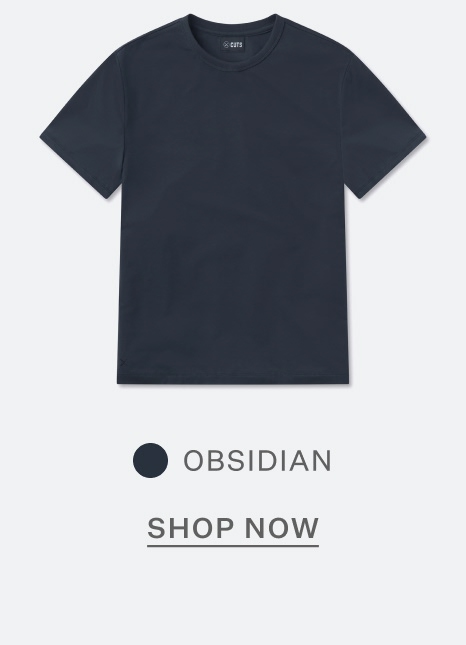 AO Forever Tee in Obsidian