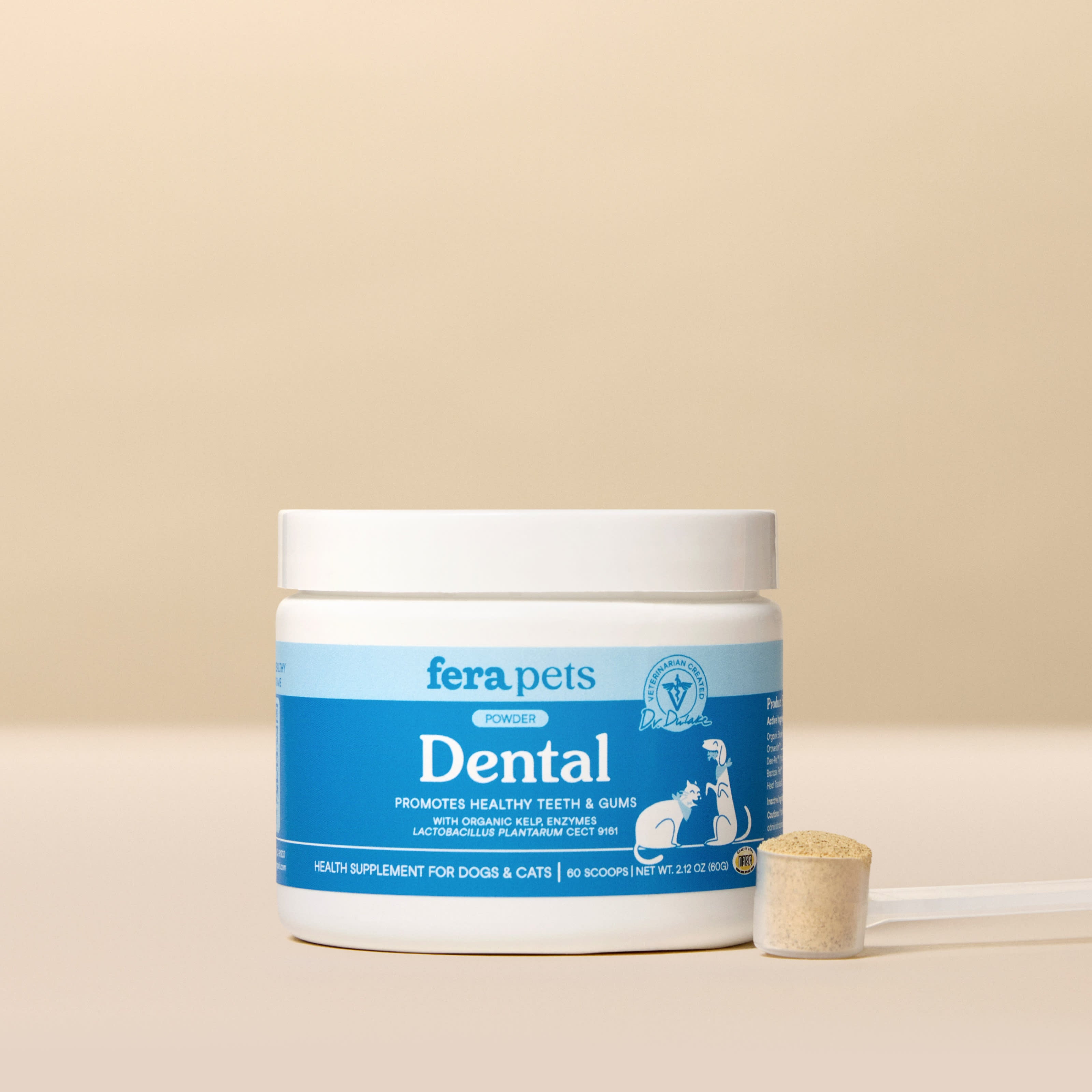 Image of Dental Support