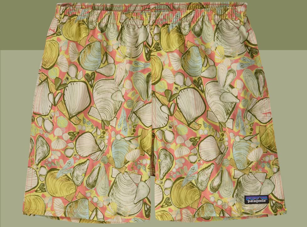Men&rsquo;s Baggies&trade; Shorts - 5"