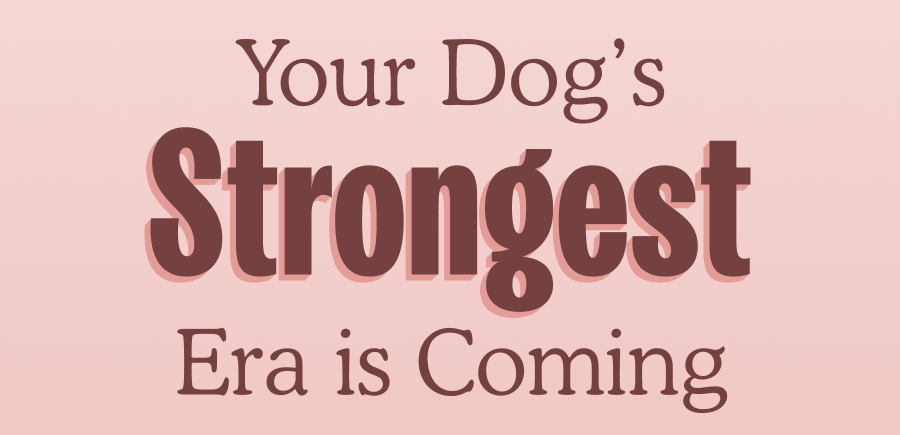Your Dog&rsquo;s Strongest Era