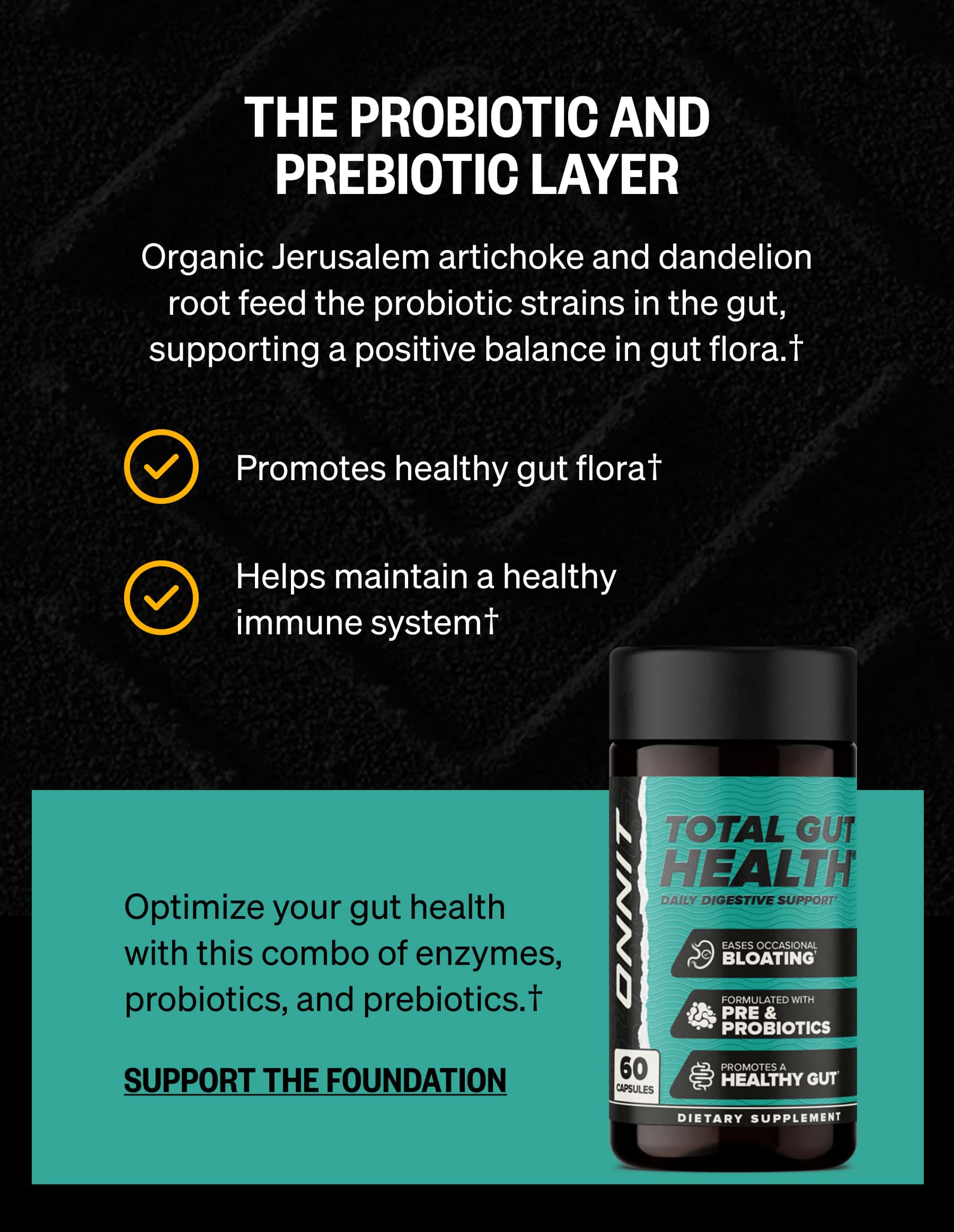 THE PROBIOTIC AND PREBIOTIC LAYER Organic Jerusalem artichoke and dandelion root feed the probiotic strains in the gut, supporting a positive balance in gut flora.&dagger; Promotes healthy gut flora&dagger; Helps maintain a healthy immune system&dagger; Optimize your gut health with this combo of enzymes, probiotics, and prebiotics.&dagger; SUPPORT THE FOUNDATION