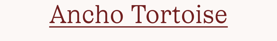 Ancho Tortoise