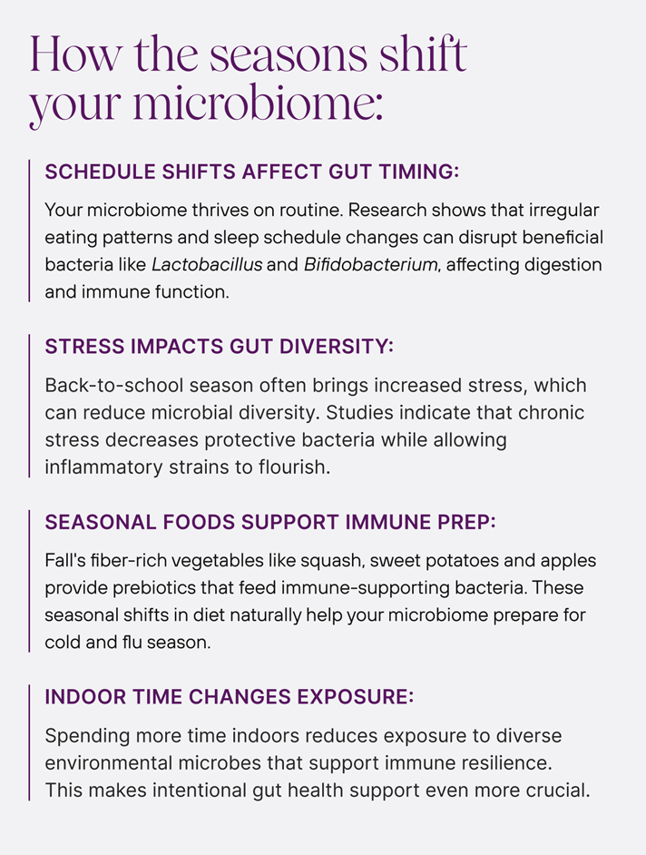 How the seasons shift your microbiome: -Schedule shifts affect gut timing: Your microbiome thrives on routine. Research shows that irregular eating patterns and sleep schedule changes can disrupt beneficial bacteria like Lactobacillus and Bifidobacterium, affecting digestion and immune function. -Stress impacts gut diversity: Back-to-school season often brings increased stress, which can reduce microbial diversity. Studies indicate that chronic stress decreases protective bacteria while allowing inflammatory strains to flourish. -Seasonal foods support immune prep: Fall's fiber-rich vegetables like squash, sweet potatoes and apples provide prebiotics that feed immune-supporting bacteria. These seasonal shifts in diet naturally help your microbiome prepare for cold and flu season. -Indoor Time changes exposure: Spending more time indoors reduces exposure to diverse environmental microbes that support immune resilience. This makes intentional gut health support even more crucial.