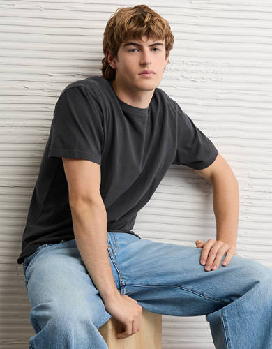 AE Standard Fit Lived-In T-Shirt