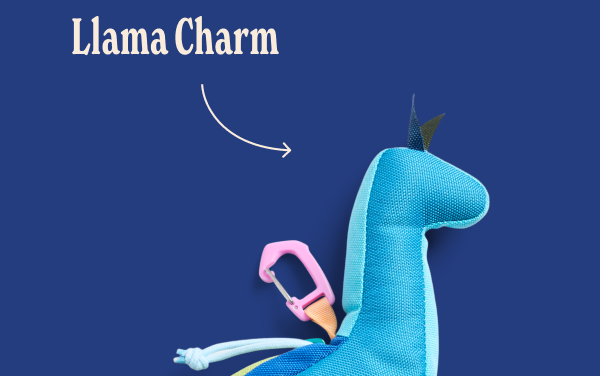Llama Charm Bag - Del D&iacute;a