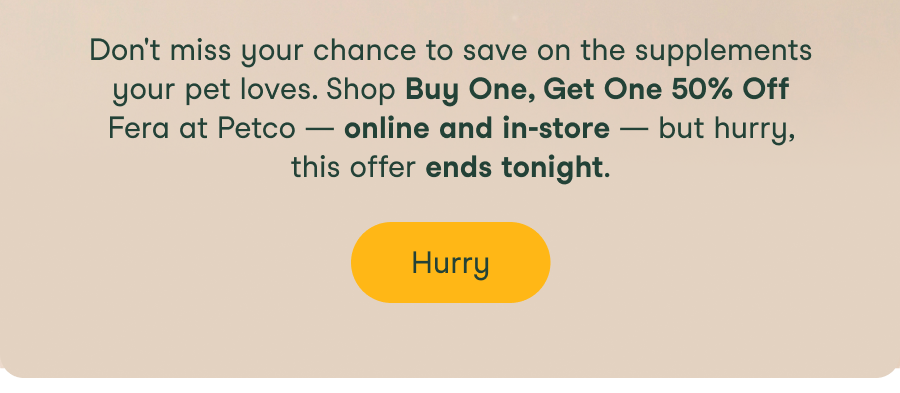 Hurry