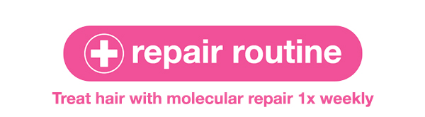 Repair Routine